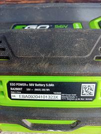Batteria EGO Power  da 5 ah