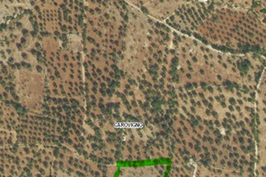 Terreno residenziale carovigno