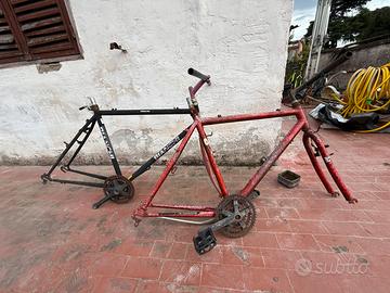 2 bici telaio