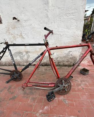 2 bici telaio