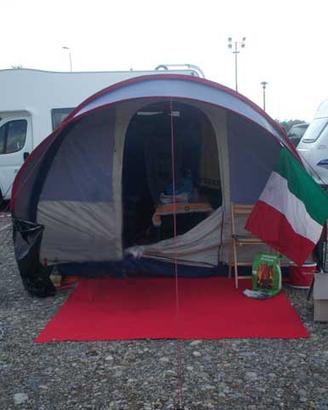 Tenda bertoni