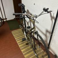WILIER TRIESTINA