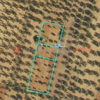 Terreno Agricolo Manduria [1257VCG]