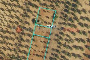 Terreno Agricolo Manduria [1257VCG]