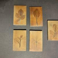 Roger Capron,decori"Herbier Provence"1974,14x9cm