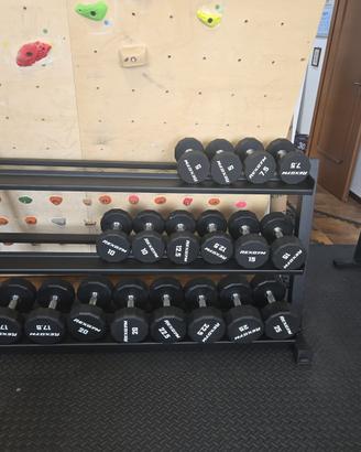 Rastrelliera per manubri Rexgym by Kingsgym