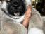Immagine 7