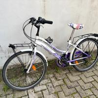 Bicicletta