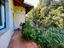 Immagine 13