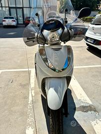 Sh 300 sport