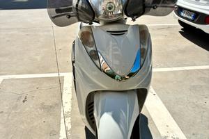 Sh 300 sport