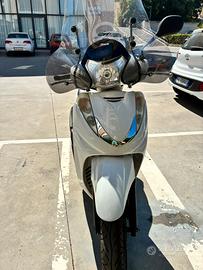Sh 300 sport