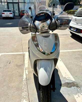 Sh 300 sport