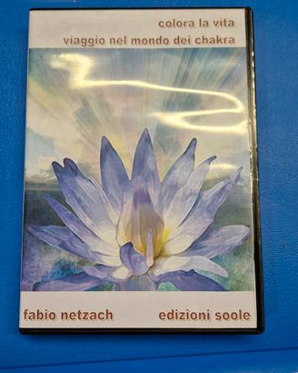 cd invocazioni