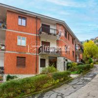 APPARTAMENTO LUMINOSO IMMERSO NELLA COLLINA TORINE