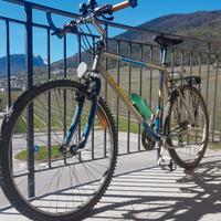 Bici mountain bike