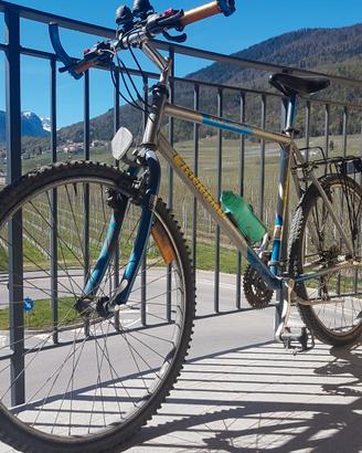 Bici mountain bike