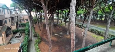 Bilocale di recente ristrutturazione