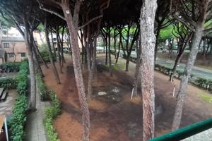 Bilocale di recente ristrutturazione