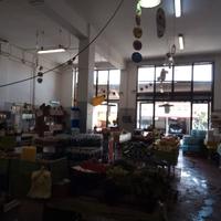 Bottega COMMERCIALE e CAPANNONE