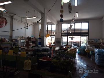 Bottega COMMERCIALE e CAPANNONE