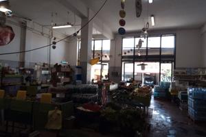 Bottega COMMERCIALE e CAPANNONE