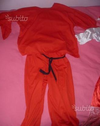 Vestito carnevale
