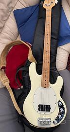 Basso MusicMan Stingray