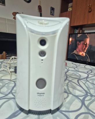 telecamera spara croccantini per cani 