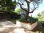 Immagine 10