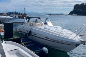 Mira 36