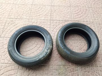 gomme estive 