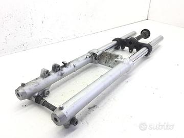 FORCELLA - PICCOLI PUNTI SU PARTE ALTA STELO SINIS