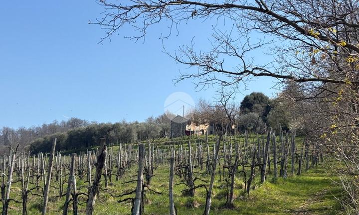 RUSTICO A CINTO EUGANEO