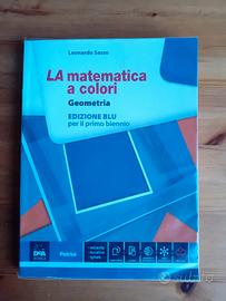 Libro di testo per liceo ISBN 9788849418835