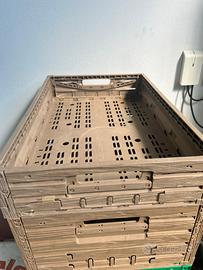 Cassette frutta pieghevoli