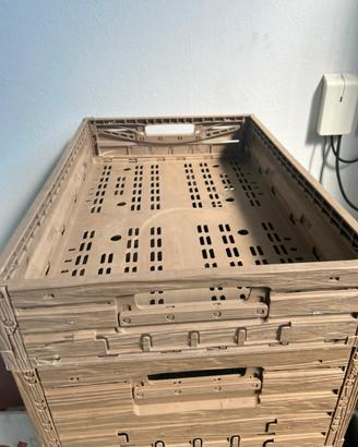 Cassette frutta pieghevoli