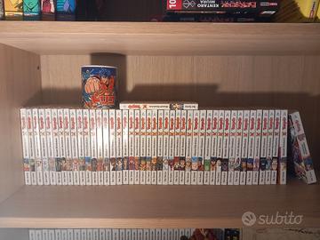 toriko serie completa