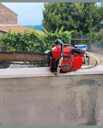 Motosega di marca Landoni