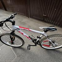 Olmo Mountain Bike - Modello Oasi