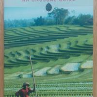 Secret Bali. An unusual guide