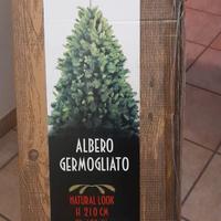 Albero di Natale 210 cm Altezza diametro 130 Cm