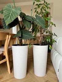 2 vasi alti per fiori con inserto (senza piante)