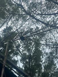 Antenna tv