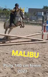 Doppio pony femmina 5 anni