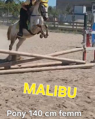 Doppio pony femmina 5 anni
