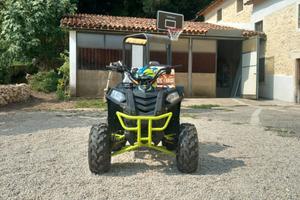 AJP Altro modello - 2008