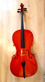 VIOLONCELLO CELLO 4/4 RIALTO DOMUS MUSICA