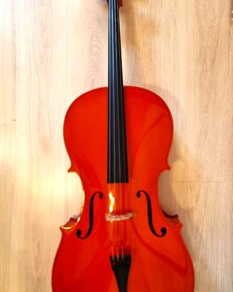 VIOLONCELLO CELLO 4/4 RIALTO DOMUS MUSICA