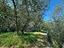 Immagine 13